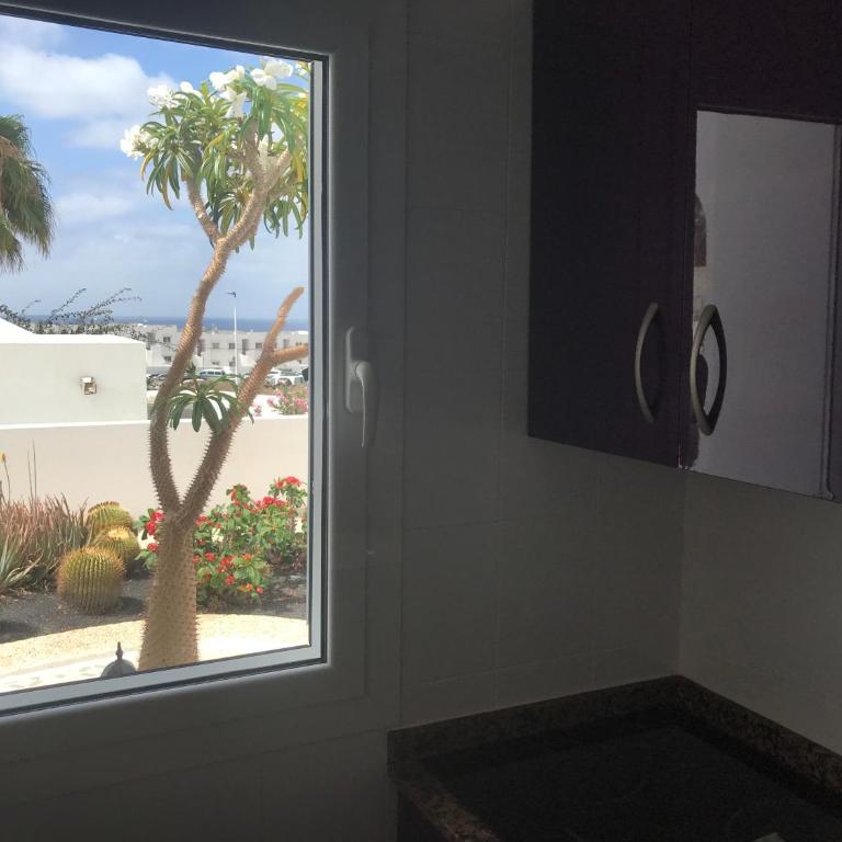 Los Panelos B1 - Apartamento - Planta baja - 8