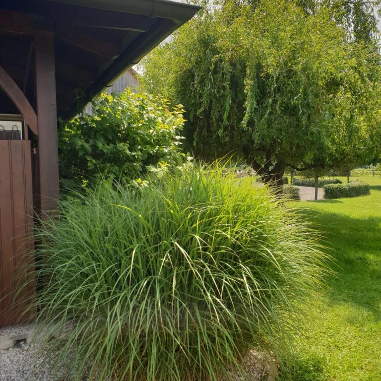 Landhaus List - Ferienhaus - 13