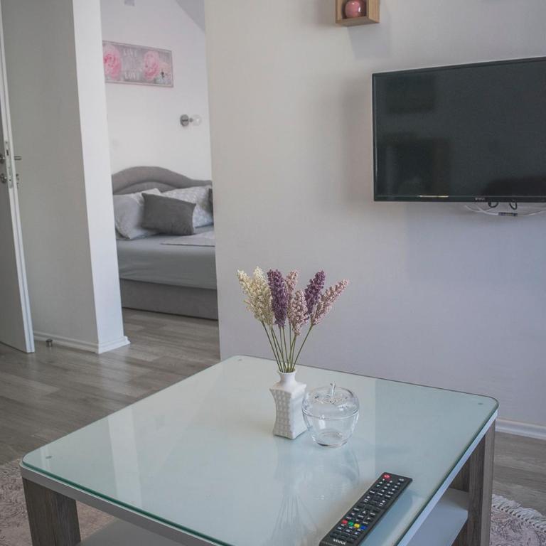 Apartments Golden Bridge - Apartment with Balcony - 9