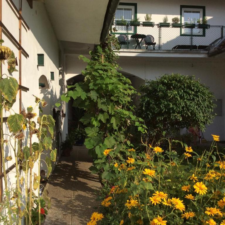 Ferienwohnung ALEX - Apartment with Balcony - 2
