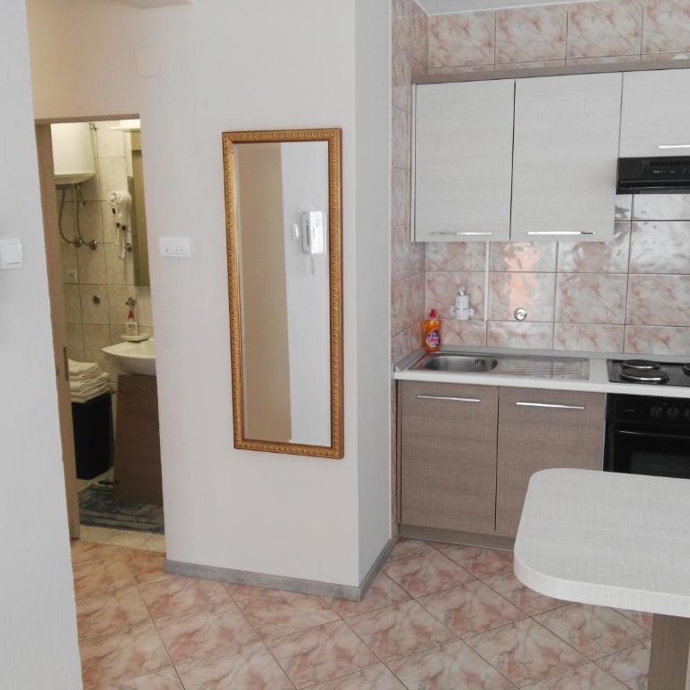 Apartmani Janjic - Studio Apartment - 22