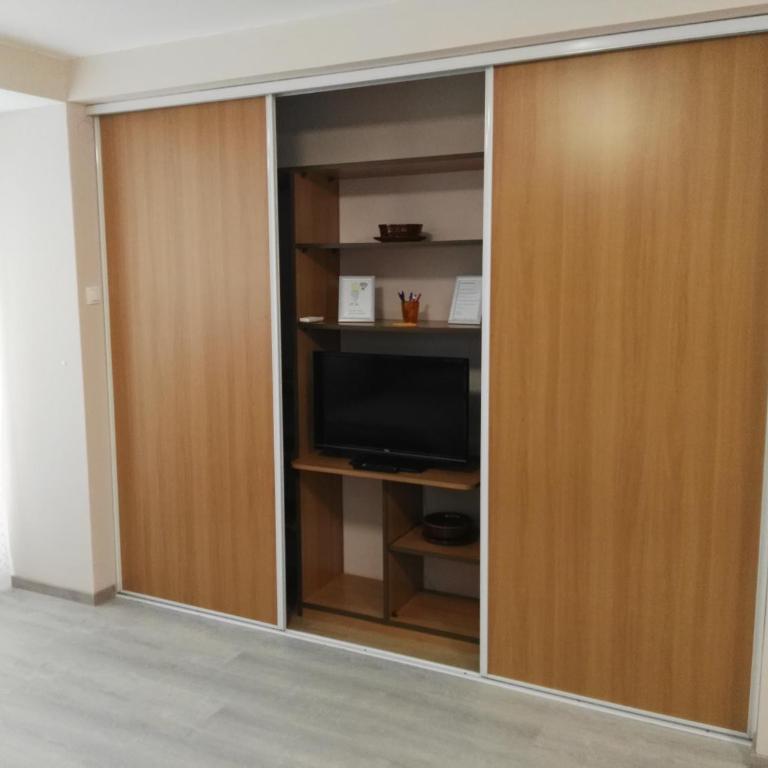 Apartmani Janjic - Studio Apartment - 20