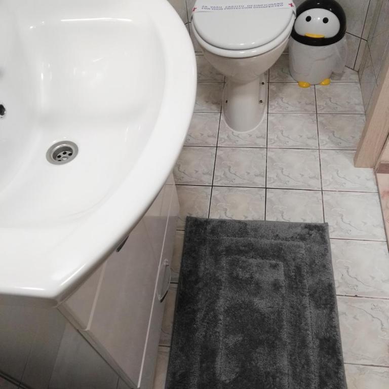 Apartmani Janjic - Studio Apartment - 18