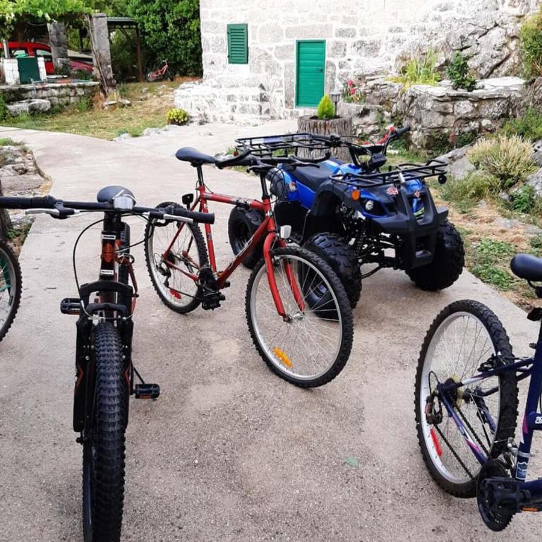 Ethno House Kosic - Brvnara sa 1 Spavaćom Sobom - 27