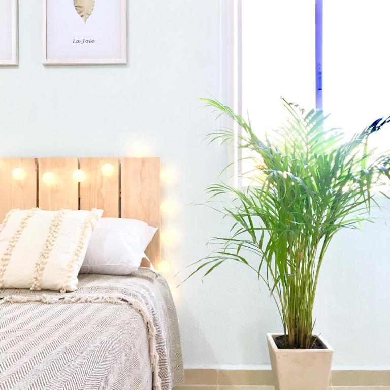 Caraïbe Mexicain B2 - Apartamento de 3 dormitorios - 16