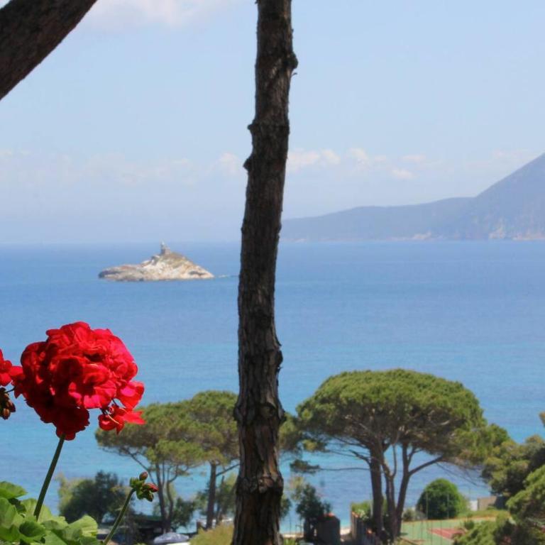 Appartamenti Scoglietto Elba - Casa Vacanze - 22