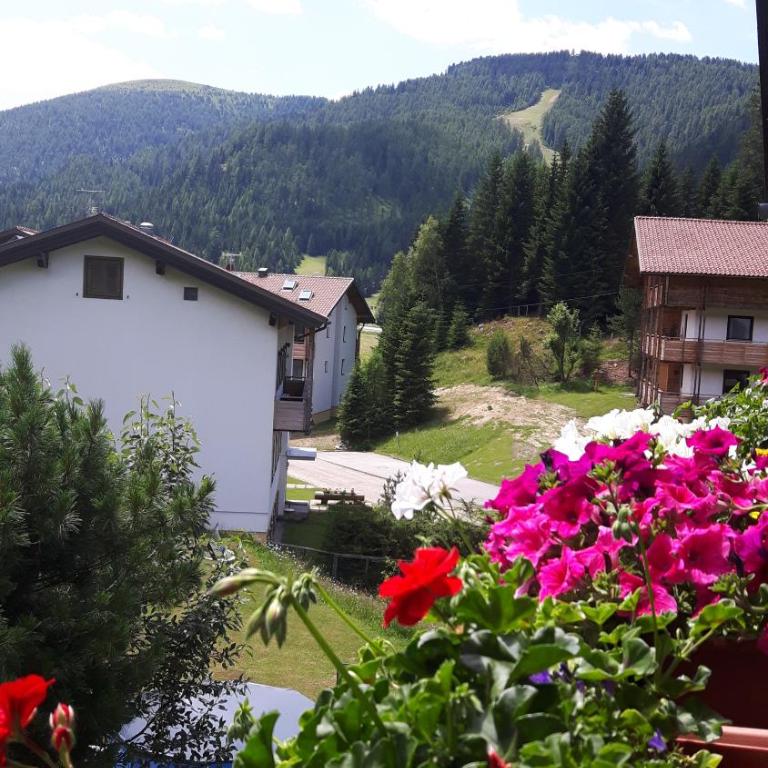 Ferienhaus Schäfer - Apartments - Wintersports - Family holiday - Holiday with your dog - Rural & Scenic - Apartment mit 4 Schlafzimmern und Poolblick - 8