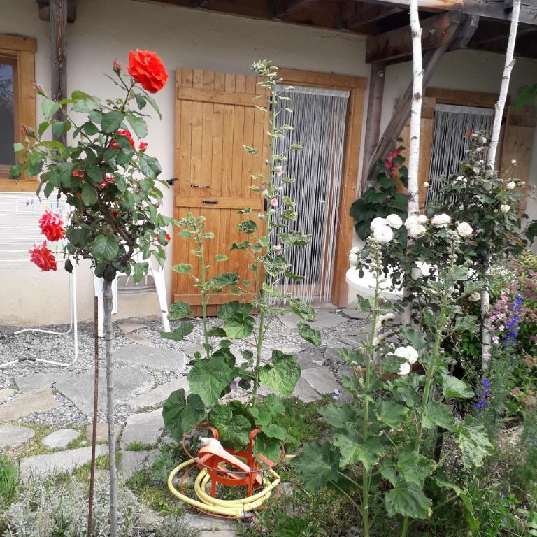 Petit appartement en montagne - Appartement - Rez-de-Chaussée - 12