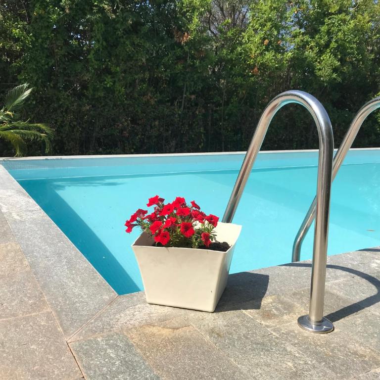 Villa Zanelli Minnie's Place - Appartamento con 3 Camere da Letto - 32