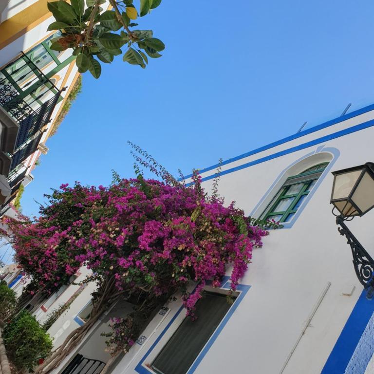 LA GONDOLA - Apartamento de 1 dormitorio - 6