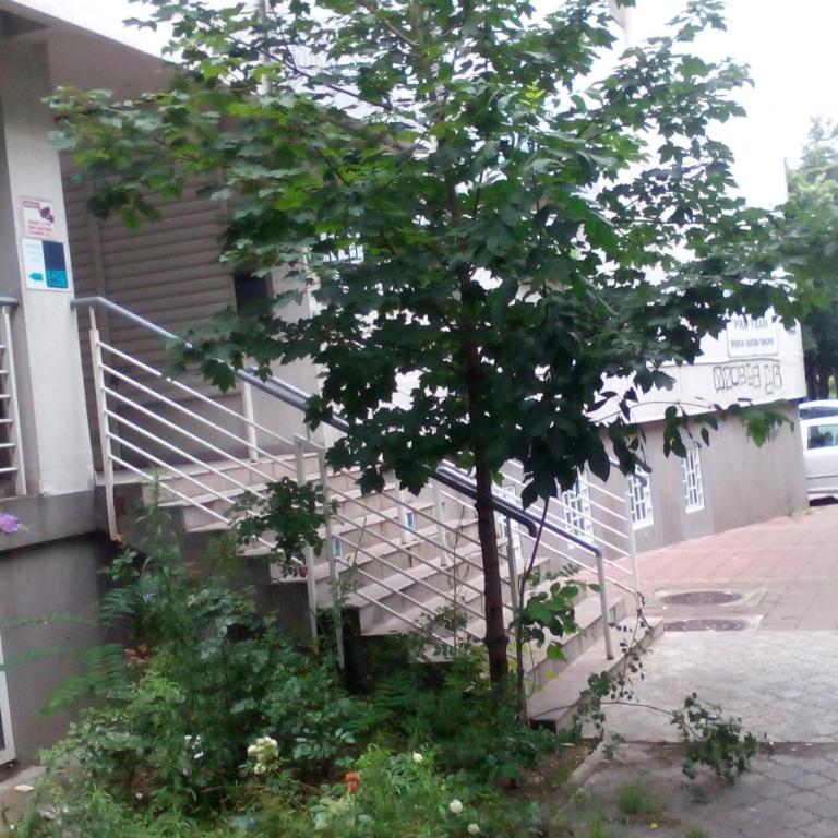 Apartment Aska - Studio Apartman - 4