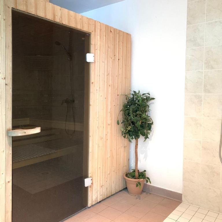 LE BALCON DU GOLF - Appartement 1 Chambre - 19