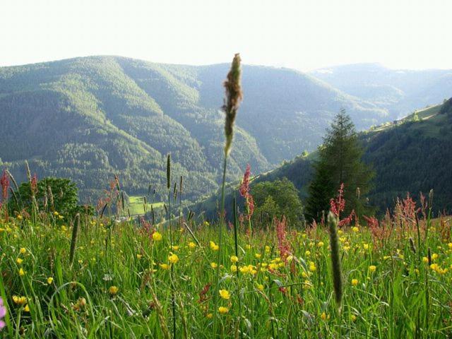 Obervostlhaus - Sehr schöne gemütliche Almhütte der besonderen Art - Ferienhaus - 12