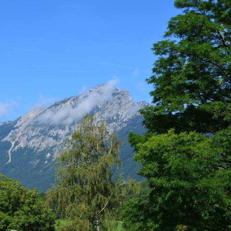 "Kaiser Karl" *** Ferienwohnungen - Apartment with Mountain View - 1