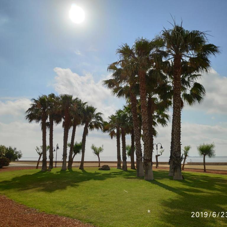 Apartamento L'Ampolla Flamingo y Mar - Apartamento - 29