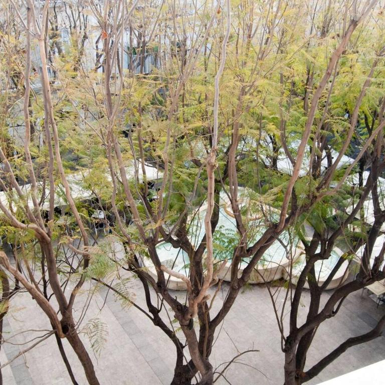 El mirador del Mentidero - Apartamento de 1 dormitorio - 10