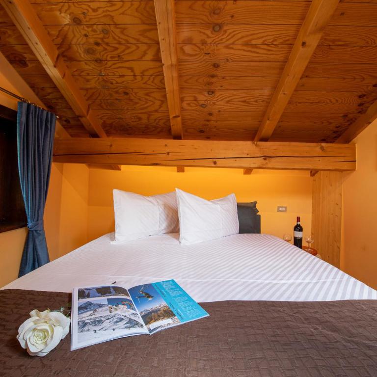 Chalet Rin Star - Appartamento con Vista Montagna - 2