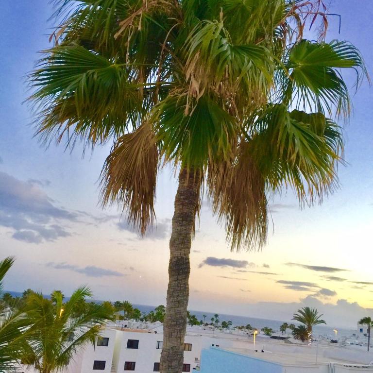 Aguazul - A pie de piscina y vistas al mar - Apartment with Pool View - 12