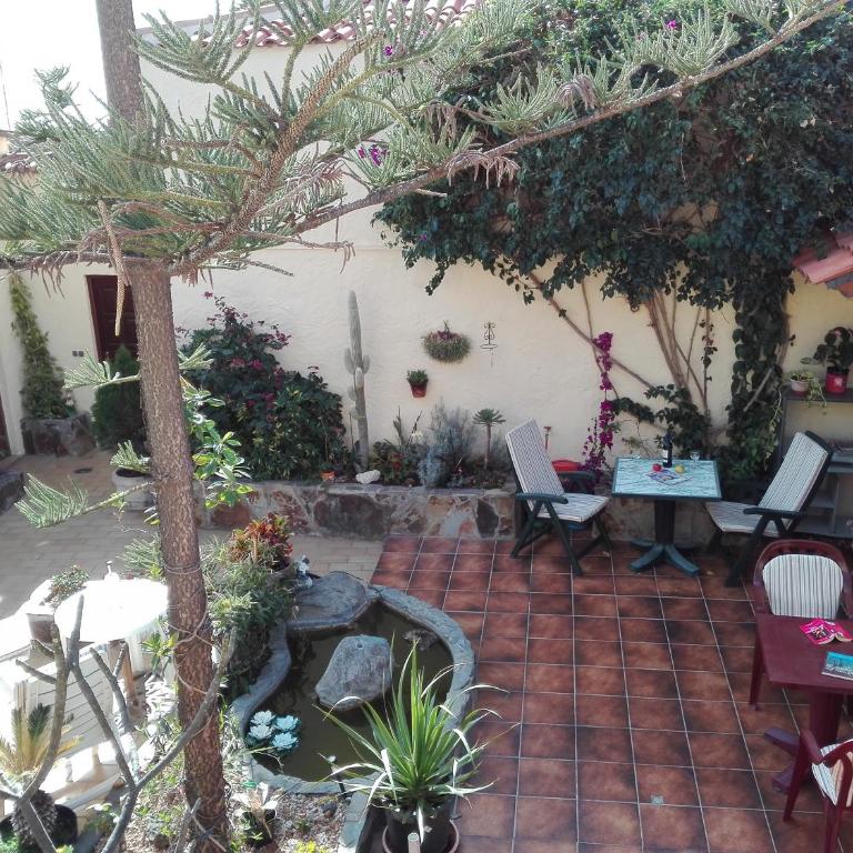 Finca Patio Canario - Estudio - 2 niveles - 3