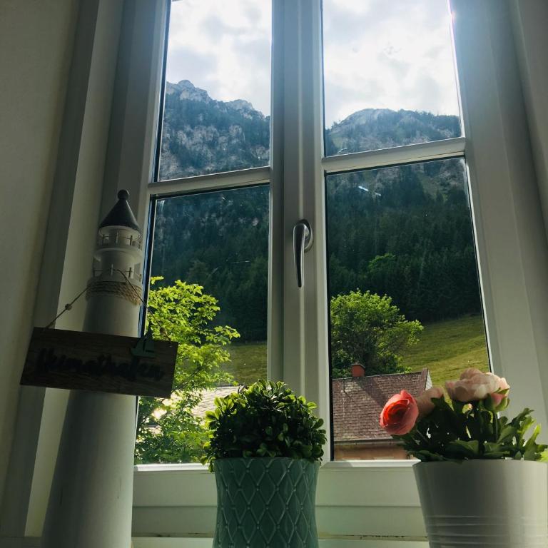 Alpenaquarium Grüblsee - FEWO Elfi - Appartement 2 Chambres - 4