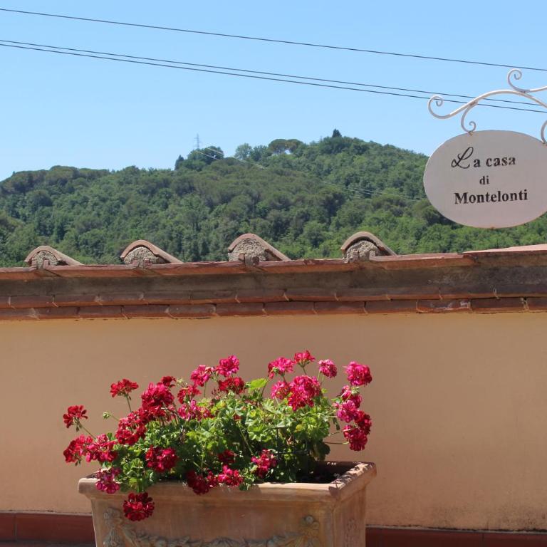 La casa di Montelonti - Appartamento - Piano Terra - 25