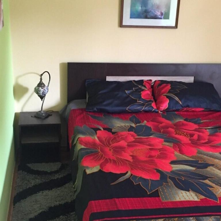 DUŠICA APARTMANI - Apartman sa 1 Spavaćom Sobom - 6