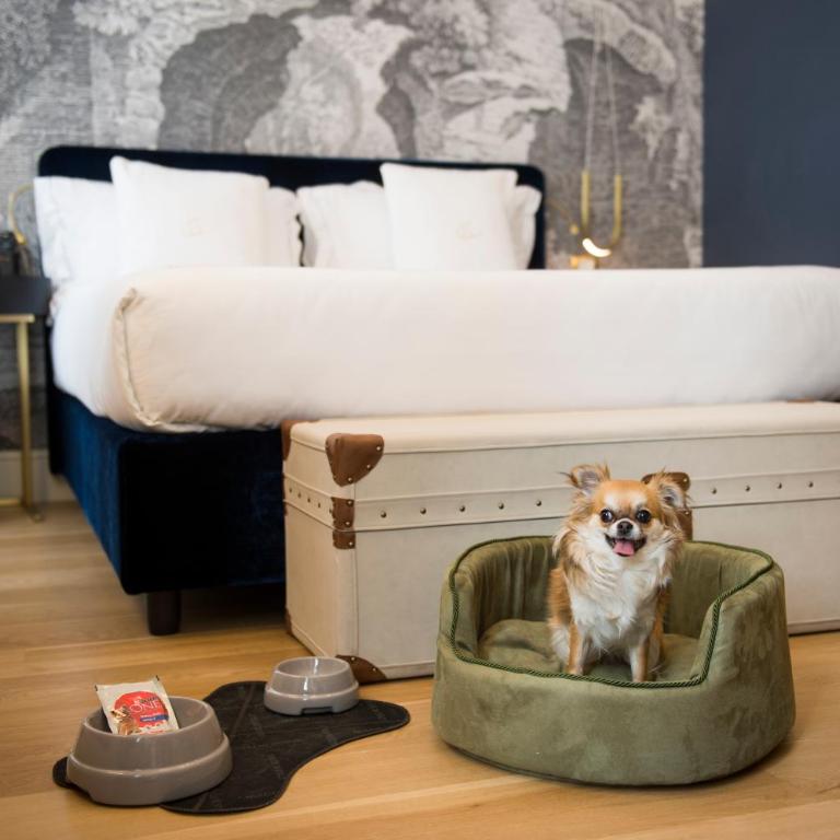 Elizabeth Unique Hotel | a Member of Design Hotels™ - Junior Suite - 5