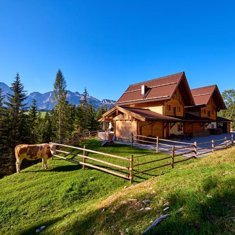 Chalets Almidylle - Chalet mit 3 Schlafzimmern - 7