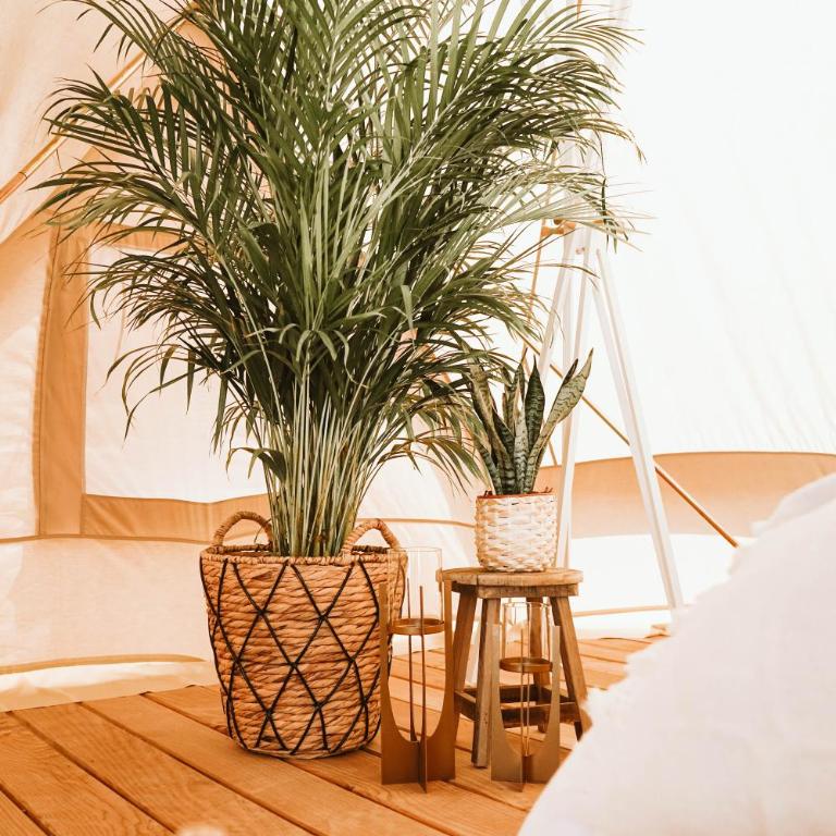 Dreamsea Mediterranean Camp - Tienda - 17