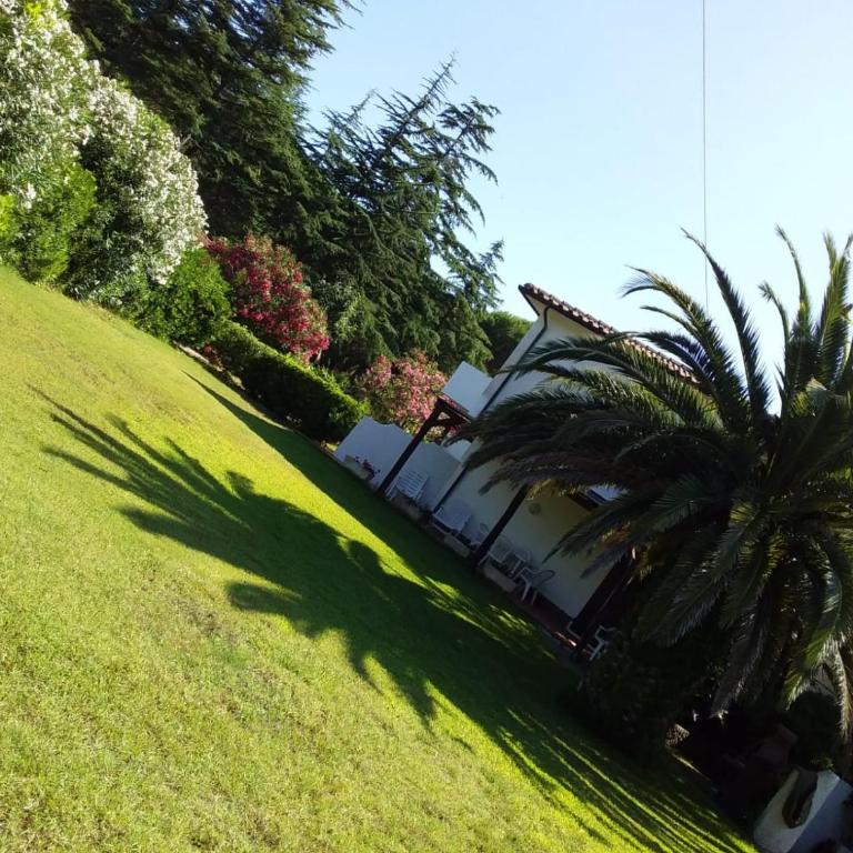 Le Palme - Appartamento con 2 Camere da Letto - 1