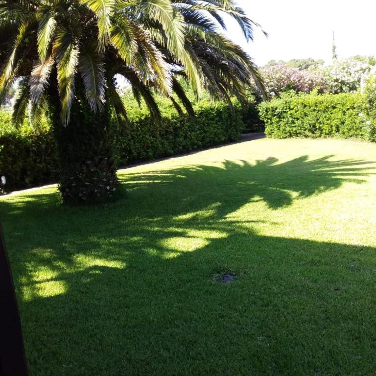 Le Palme - Appartamento con 2 Camere da Letto - 2
