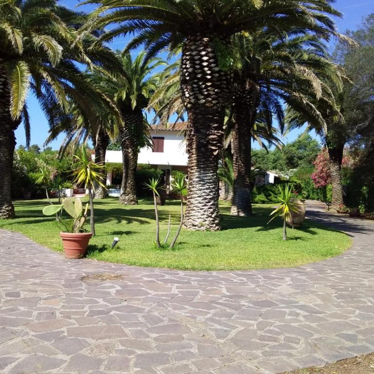 Le Palme - Appartamento con 1 Camera da Letto - 2