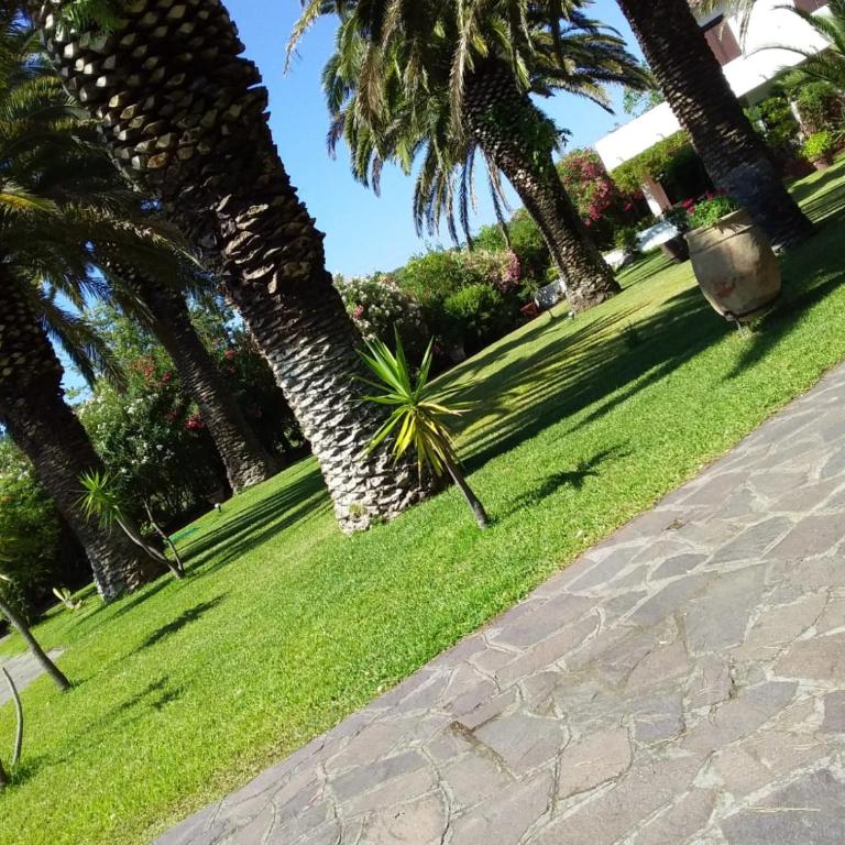 Le Palme - Villa - 3