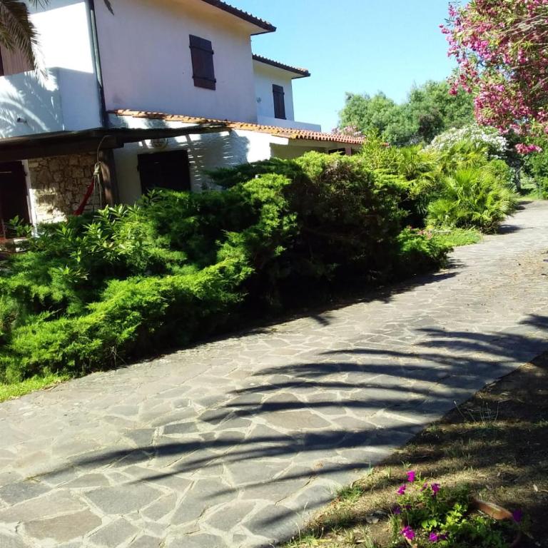 Le Palme - Villa - 4