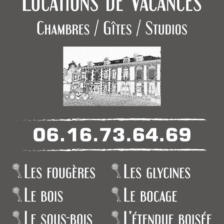 La cour - Appartement - Rez-de-Chaussée - 12