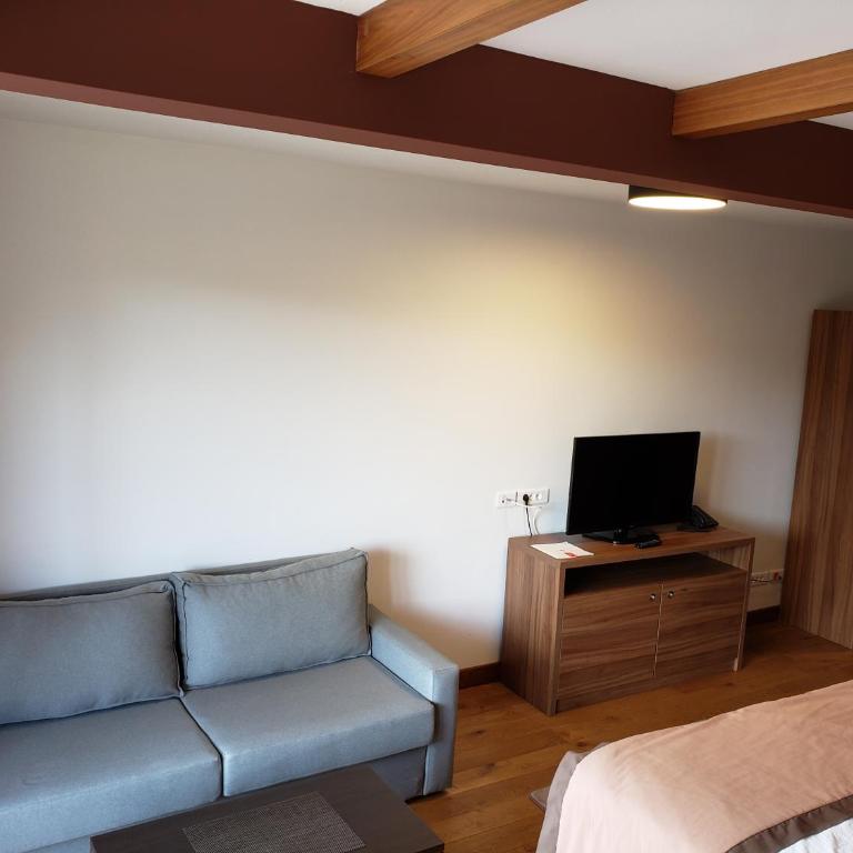 Apartments B229 & B230 in Aparthotel Vucko, Jahorina -private host - Apartment with Partial Mountain View (B229) - 5