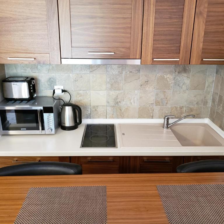 Apartments B229 & B230 in Aparthotel Vucko, Jahorina -private host - Apartment with Partial Mountain View (B229) - 11