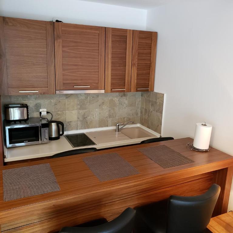 Apartments B229 & B230 in Aparthotel Vucko, Jahorina -private host - Apartment with Partial Mountain View (B229) - 13