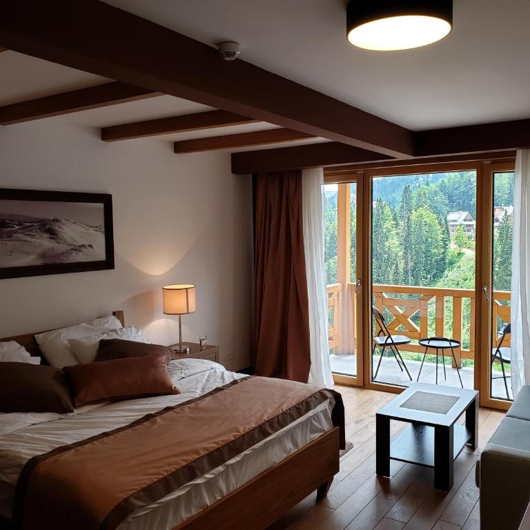 Apartments B229 & B230 in Aparthotel Vucko, Jahorina -private host - Apartment with Partial Mountain View (B229) - 23