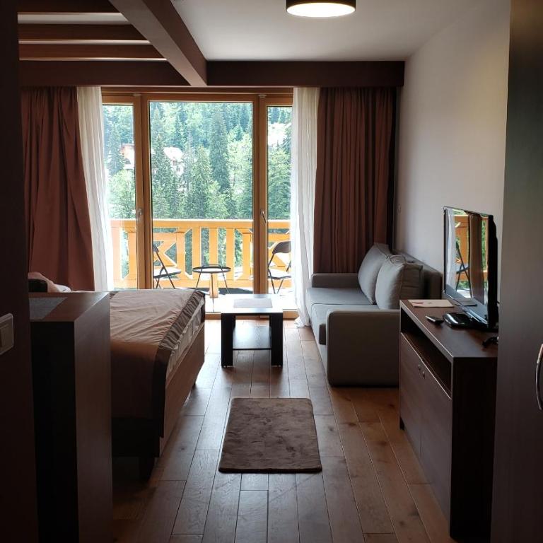 Apartments B229 & B230 in Aparthotel Vucko, Jahorina -private host - Apartment with Partial Mountain View (B229) - 2