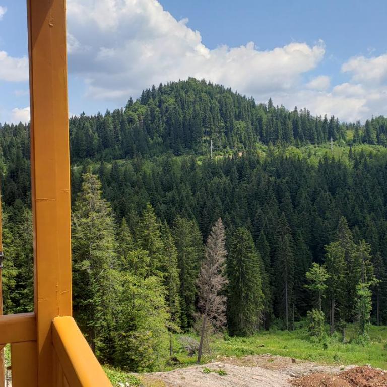 Apartments B229 & B230 in Aparthotel Vucko, Jahorina -private host - Apartment with Partial Mountain View (B229) - 24
