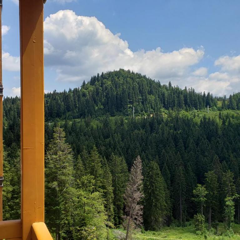Apartments B229 & B230 in Aparthotel Vucko, Jahorina -private host - Apartment with Partial Mountain View (B230) - 28