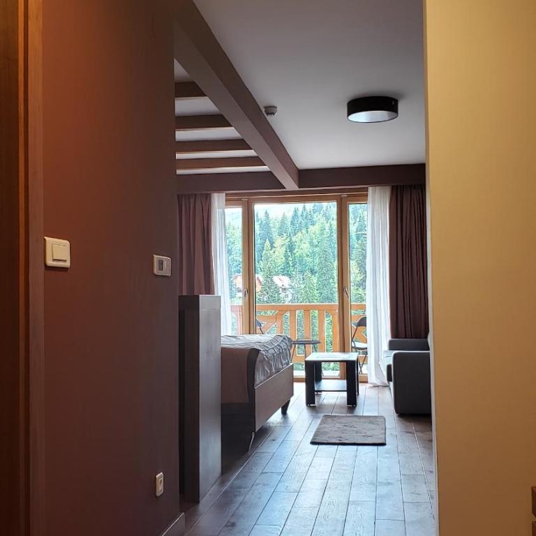 Apartments B229 & B230 in Aparthotel Vucko, Jahorina -private host - Apartment with Partial Mountain View (B229) - 3