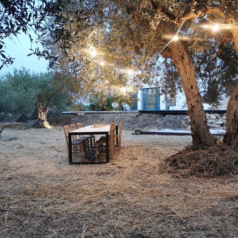 casa zabbara - Villa con 2 Camere da Letto - 17