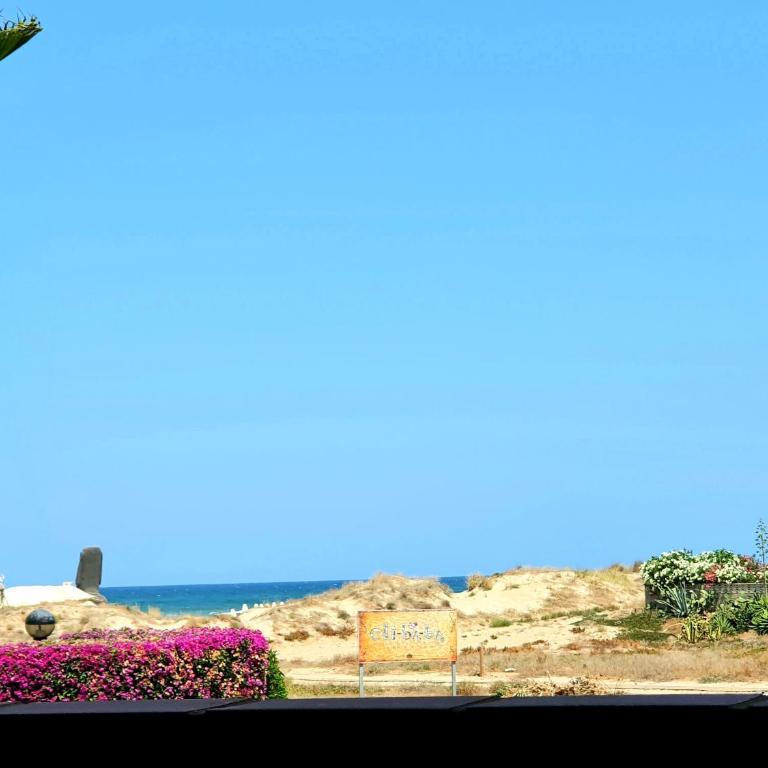 Apartamento con piscina en Oliva Nova - Apartamento con vistas al mar - 12