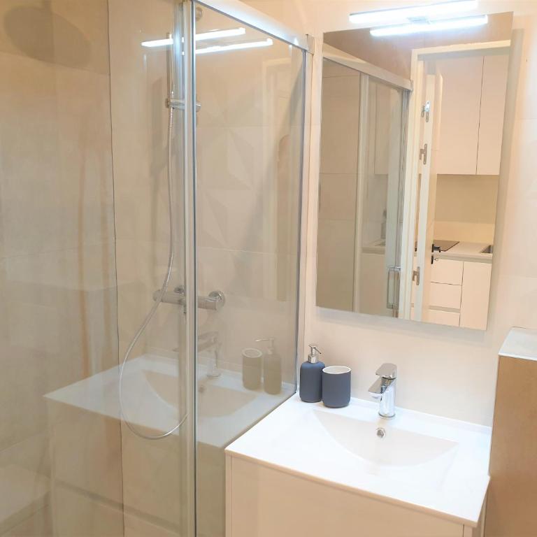 ALSACE LORRAINE CENTRE MER 106 - Appartement 1 Chambre - 6