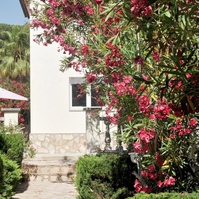 Magdalena - Villa con piscina privada - 31