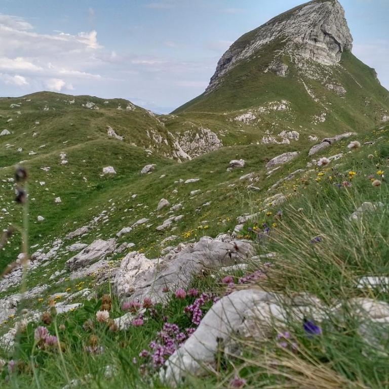Apartments Durmitor - Two-Bedroom Apartment - 29