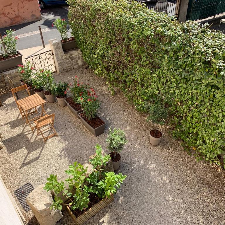 LES LAURIERS - Appartement - Vue sur Jardin - 4