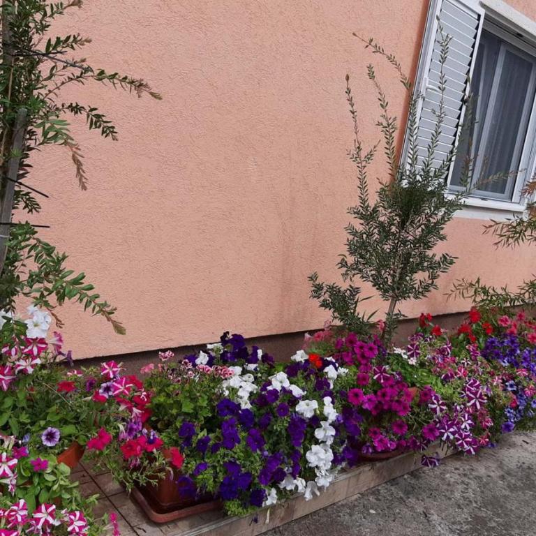 Sobe Nedović - Standardna Dvokrevetna Soba sa Zasebnim Krevetima i Zajedničkim Kupatilom - 1